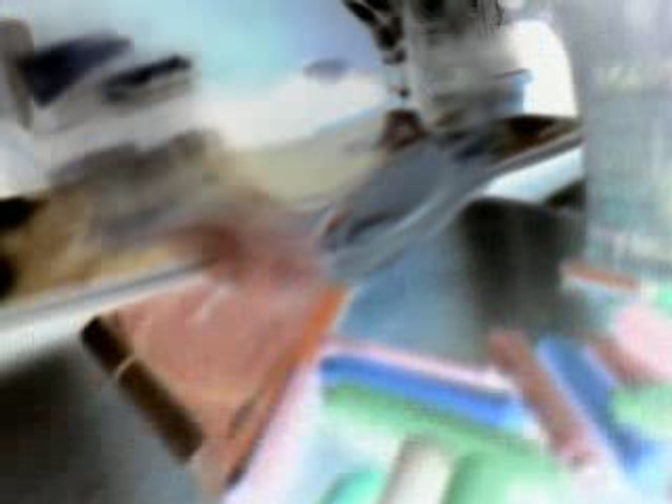 MOV01478