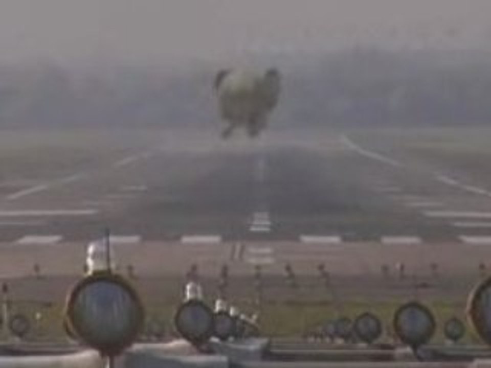 elephant-atterrissage