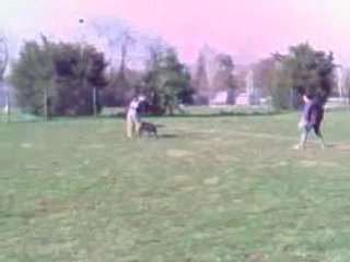 entrainement ring video001
