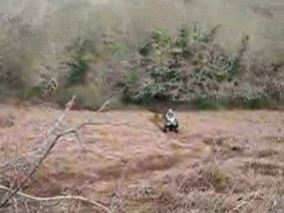 Quad "grosse descente"