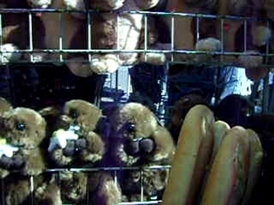 Vive les peluches qui font du bruit ! XD