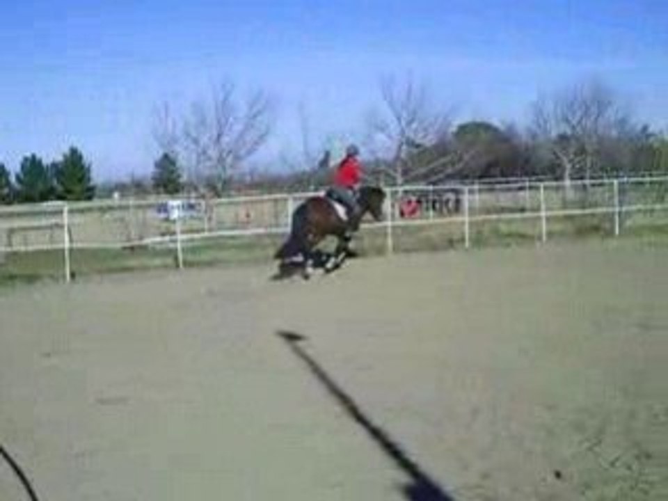 Quenzo au galop