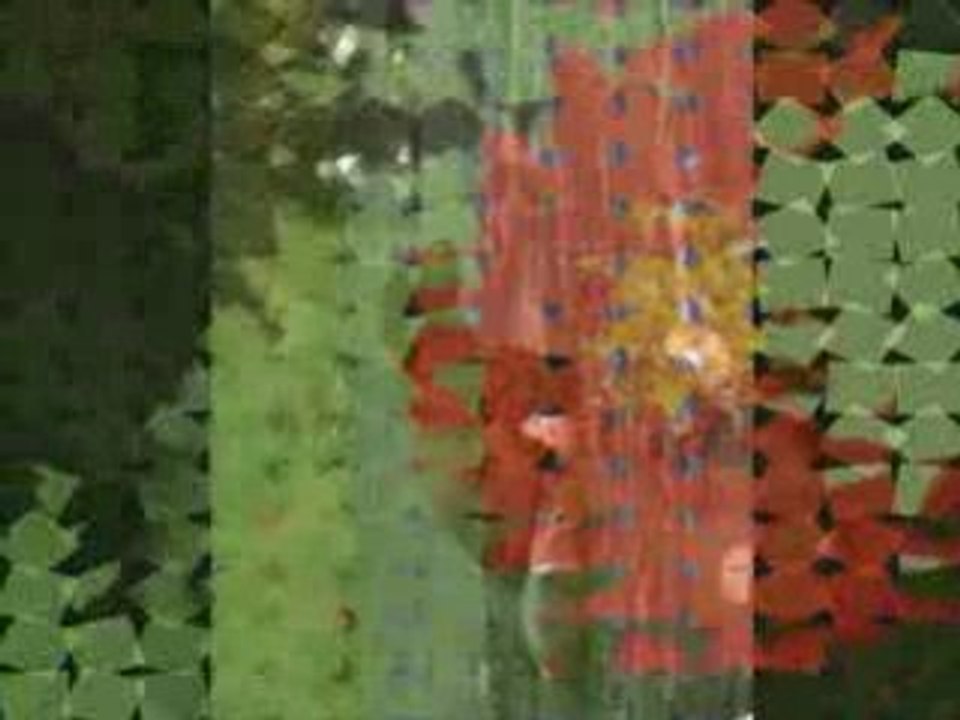 1ere utilisation (pitoyable) windows movie maker