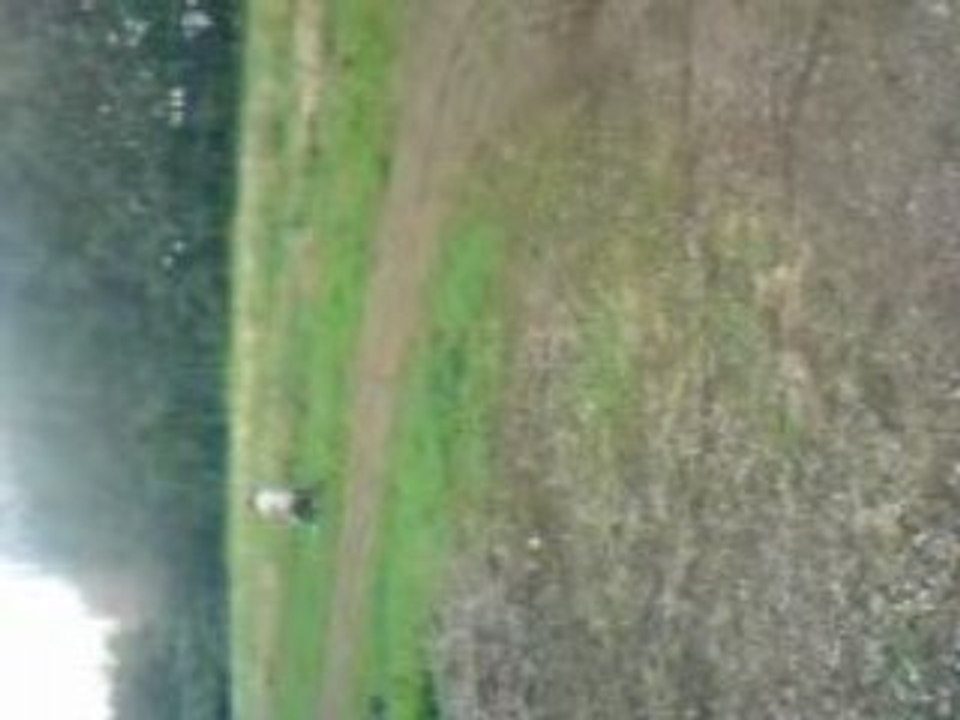 flo en drt