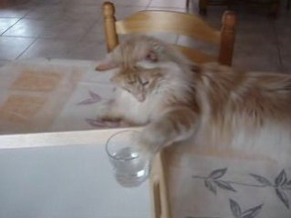 Le verre d'eau