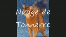 La_Guerre_Des_Clans_0001