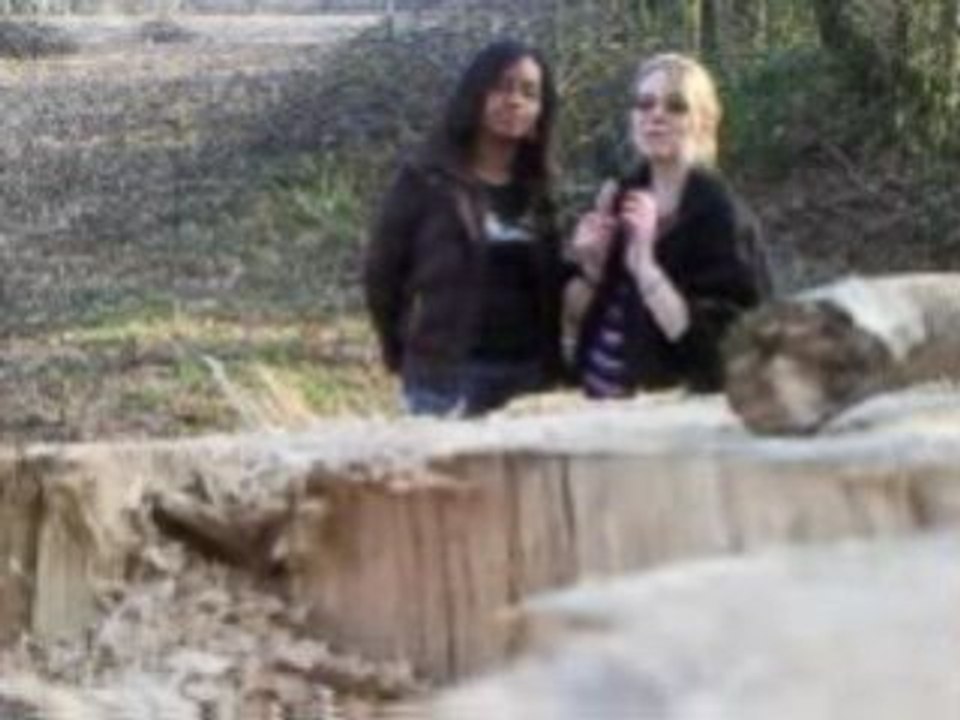 marie fermière planteuse de chou