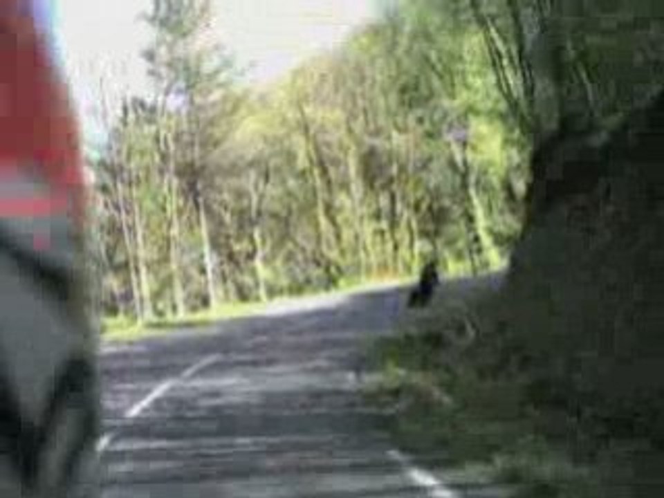 Ballade Ardèchoise