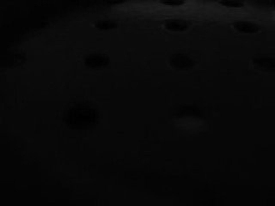 MOV05886