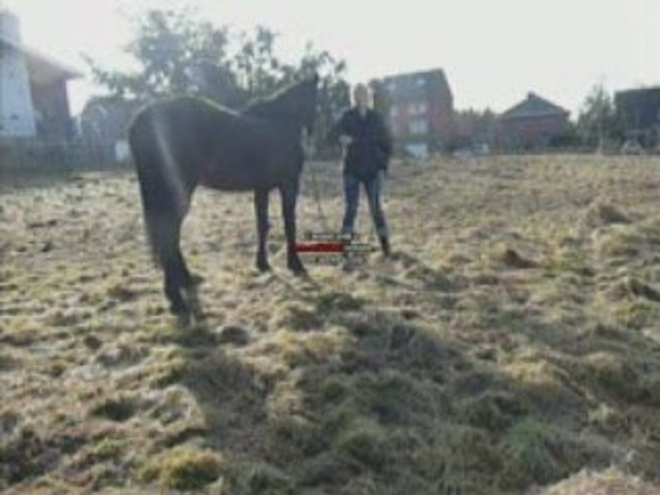 désensibilisation au stick