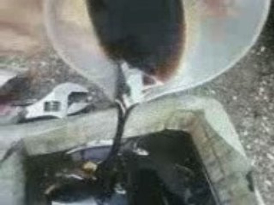 Vidéo-0003