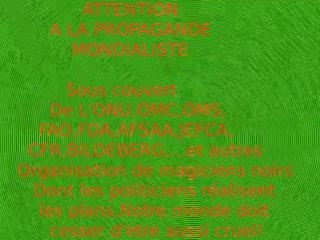 Avaaz intox verte!