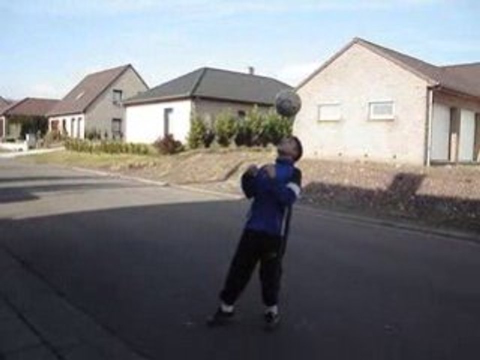 loik de vleeschauwer