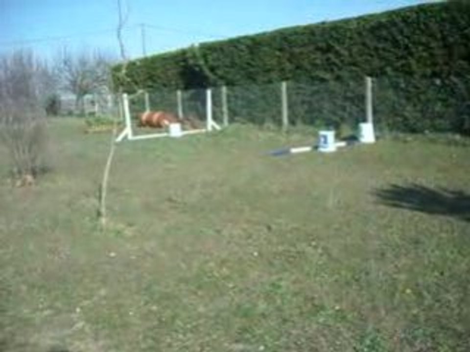 Copain 018