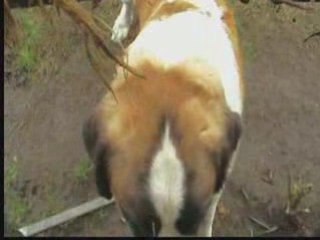 A rude awakening At 1am