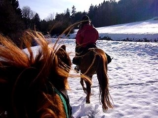 Galop dans la neige 2
