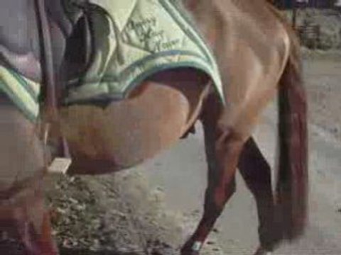 28 fev désensibilisation Karting