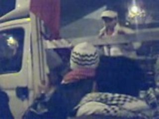 Roma Palestina Libera