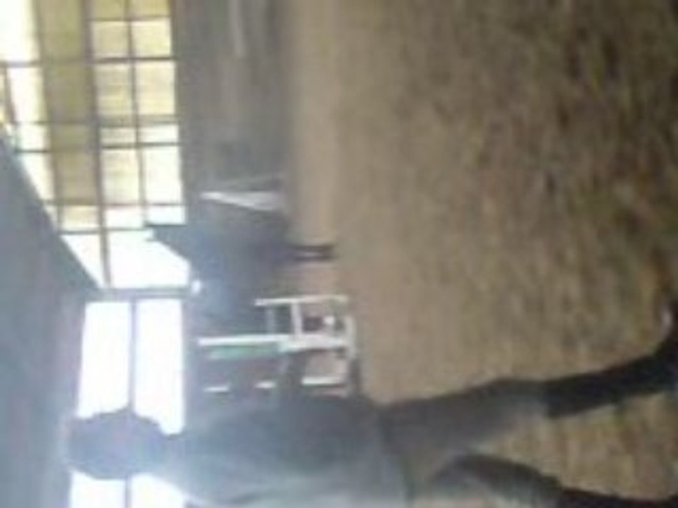 Poulain a la détente