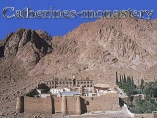 Petra tour truism trip travel