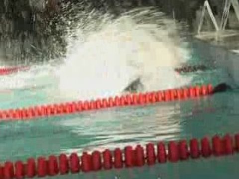 Championnat de France Universitaire de Natation 2009