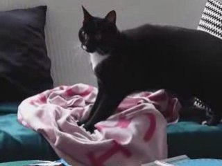 L'auto massage de coussinets