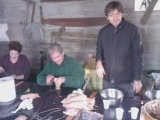 Video canards tempete