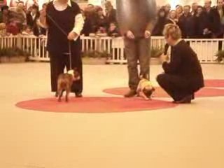 Carlin Salon de l'Agriculture 220209