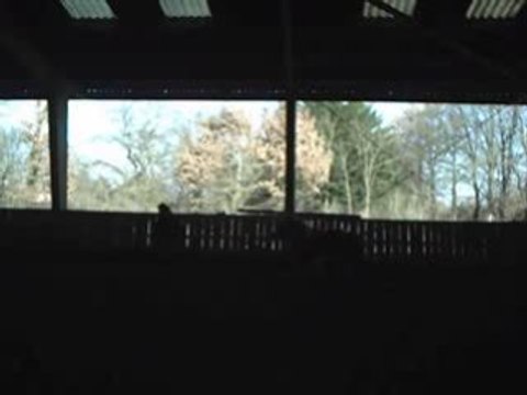 Olympe & Moi Ethologie