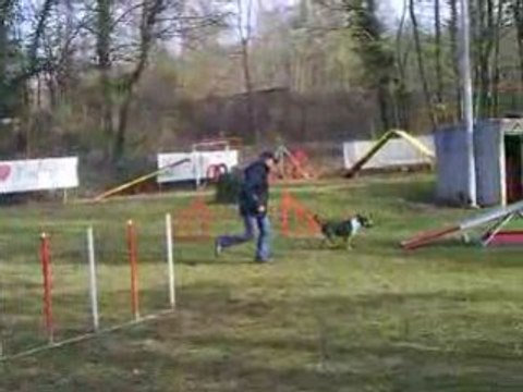 Entrainement d'agility 01/03/2009 Evora 3 ème passage