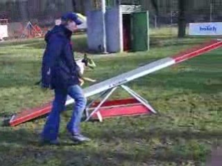 Entrainement d'agility 01/03/2009 Evora 2ème passage