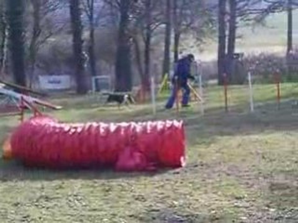 Entrainement d'agility 01/03/2009 Evora la Cata...