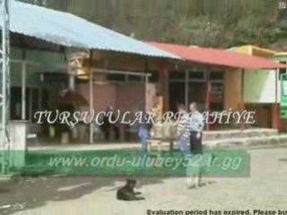 ULUBEY ORDU (Dünden Bugüne)