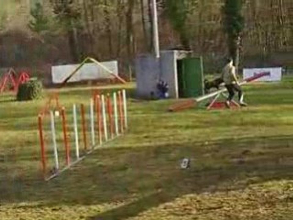 Entrainement d'agility 01/03/2009 Peps 1er parcours