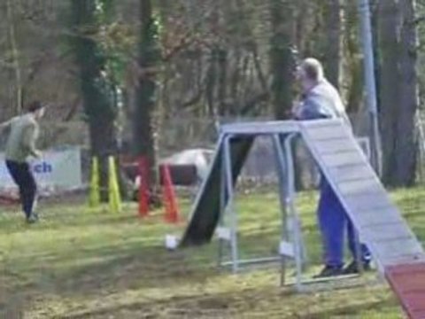 Entrainement d'agility 01/03/2009 Peps 2ème parcours