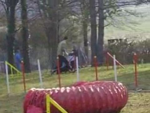 Entrainement d'agility 01/03/2009 Peps 3ème parcours