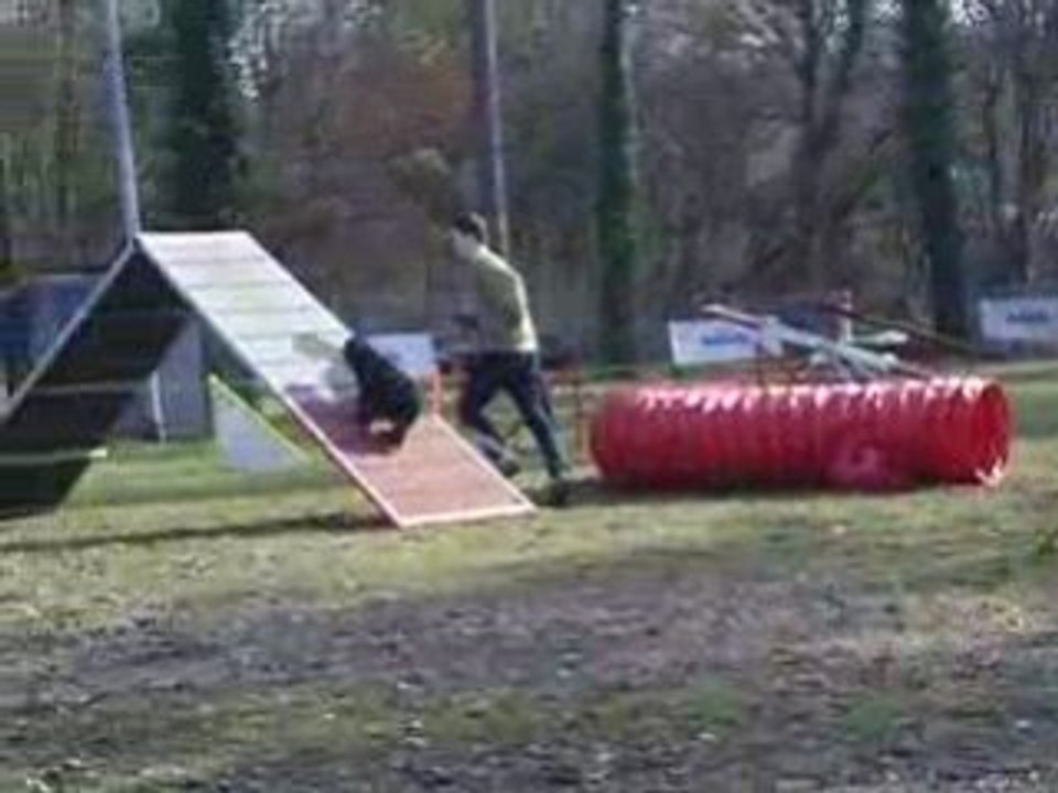 Entrainement d'agility 01/03/2009 Peps 4ème parcours