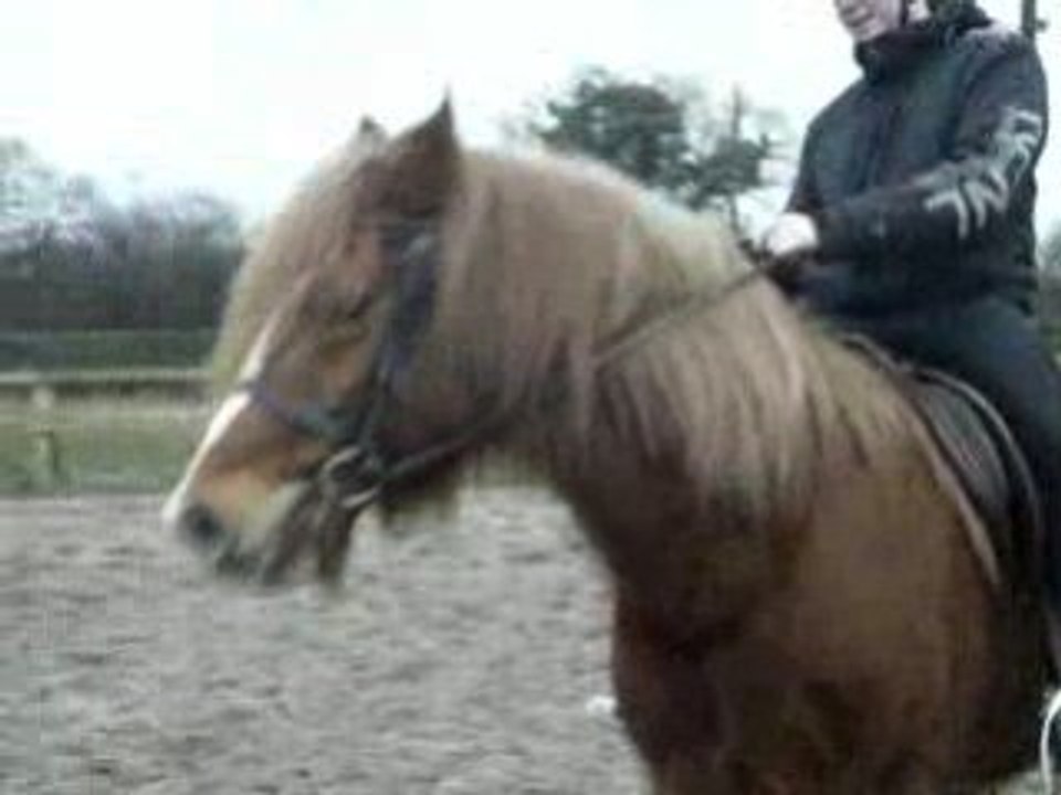 Max et sarah cheval 103