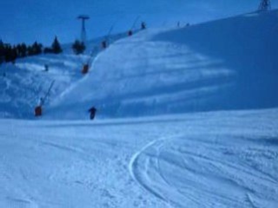 snowscoot