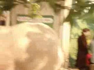 Vache 4 Salon de l'Agriculture 220209