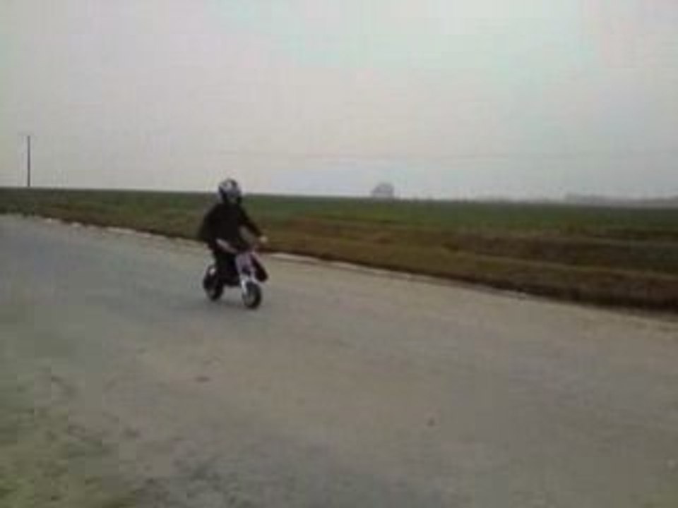 pocket vs scoot