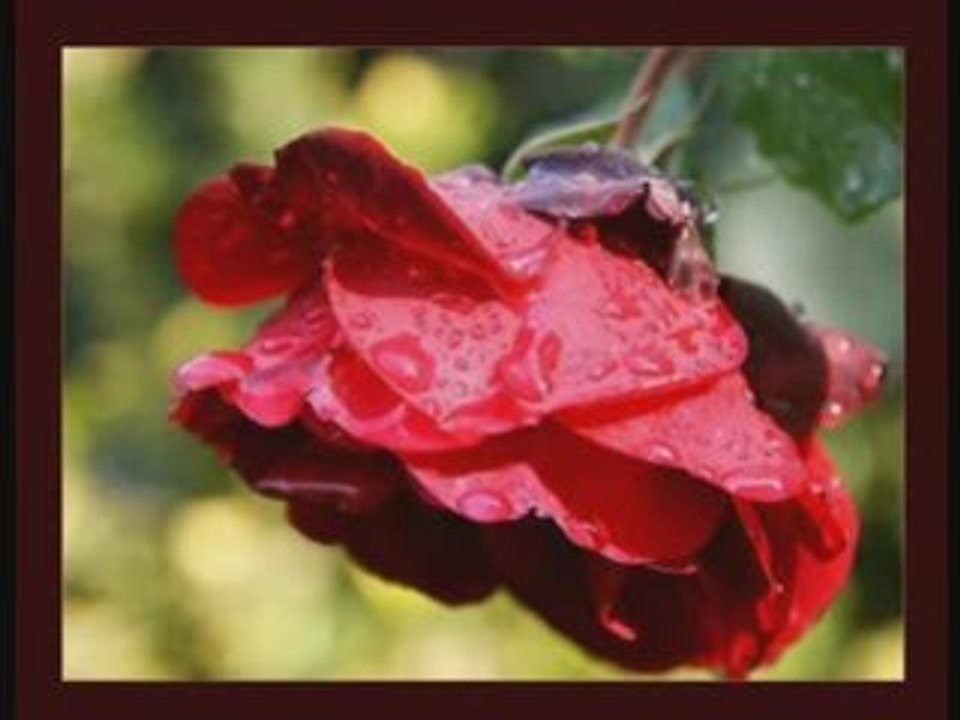 Gül yagior-menzil ilahileri