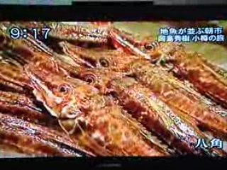 Emission Telematin Japonais - Chronique Art de vivre