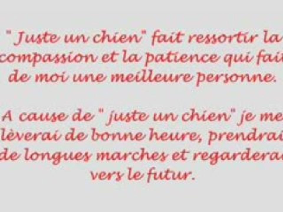 Juste un chien