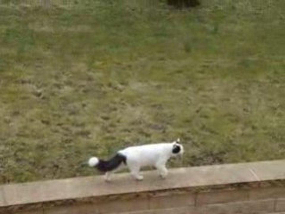 Tekki sait bien que je suis là!