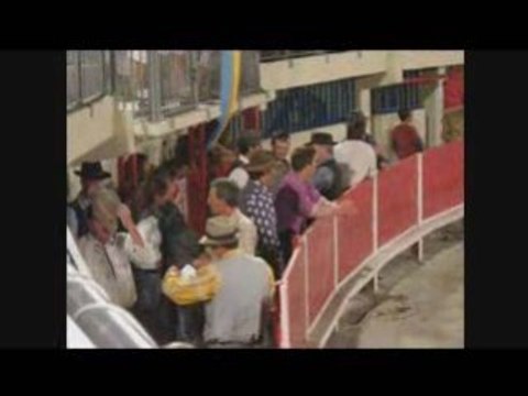 Rodeo camargue 2008 grau du roi