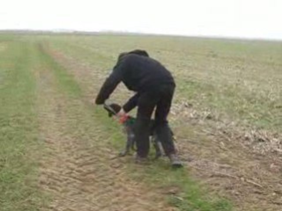 Dune a son arrivée ds les champs