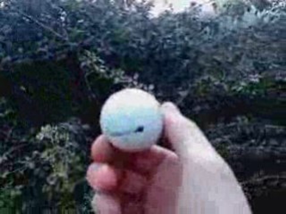 Tir de patator sur un écran plasma avec une balle de Golf !!