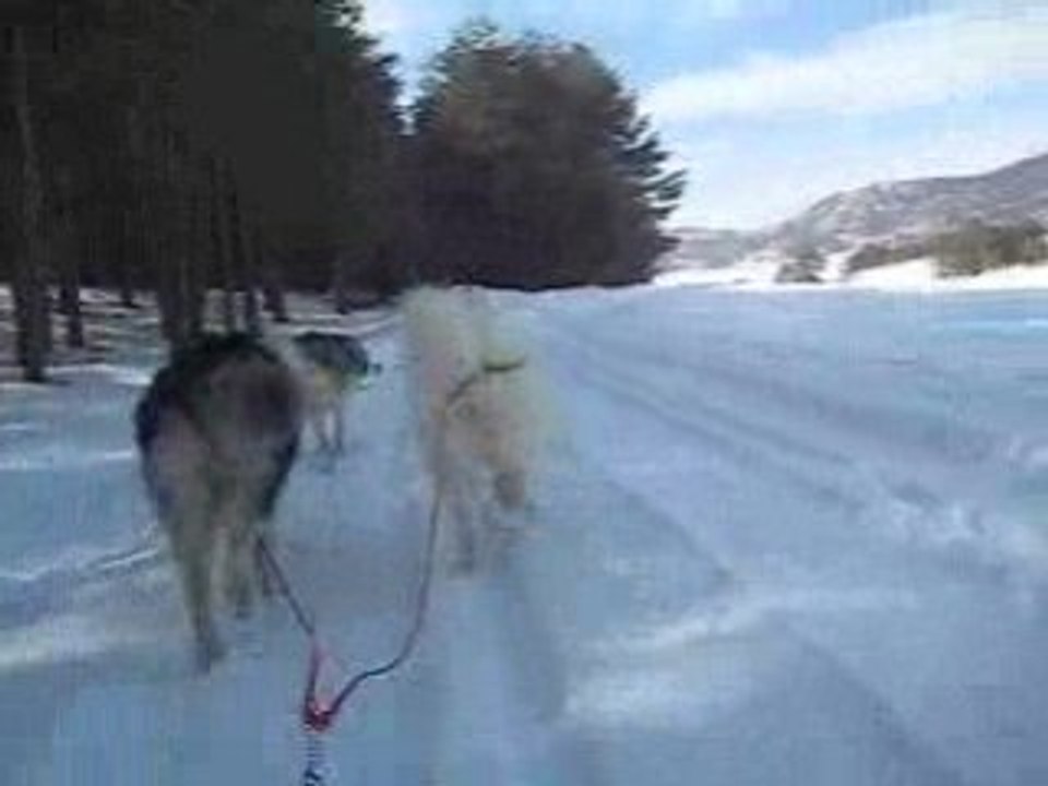 entrainnement neige 2009 2"