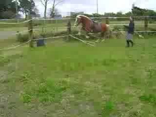 medee et eden (saut   balade) 009